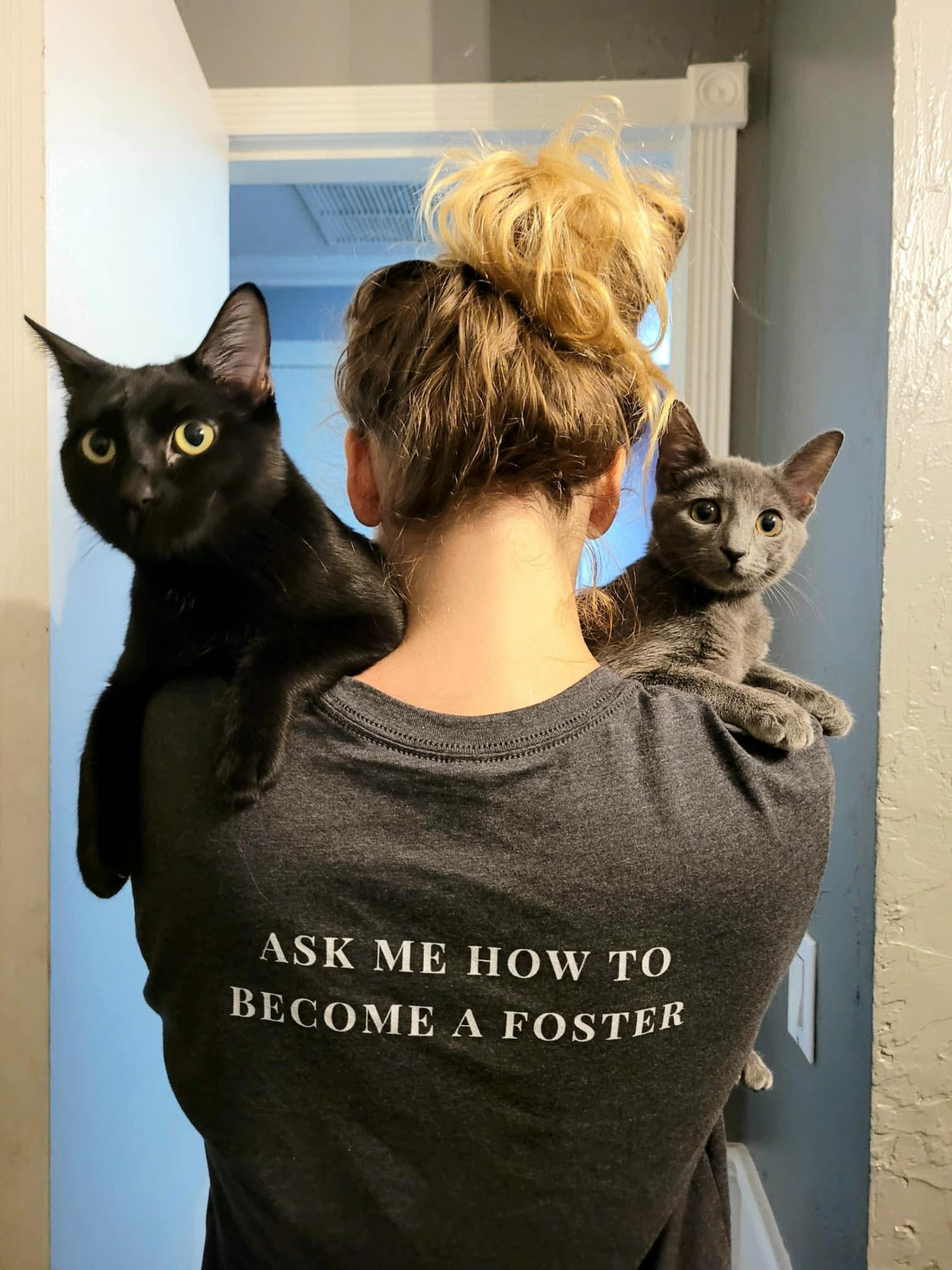 Become a Foster